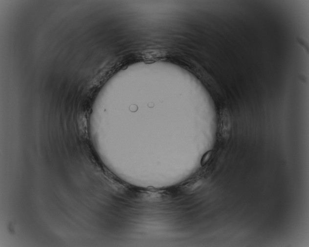 X0000103280523200809261229