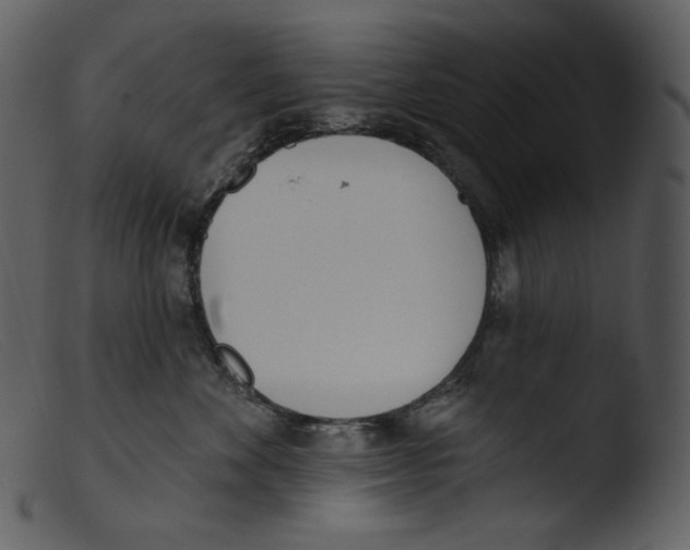 X0000103280524200809261229