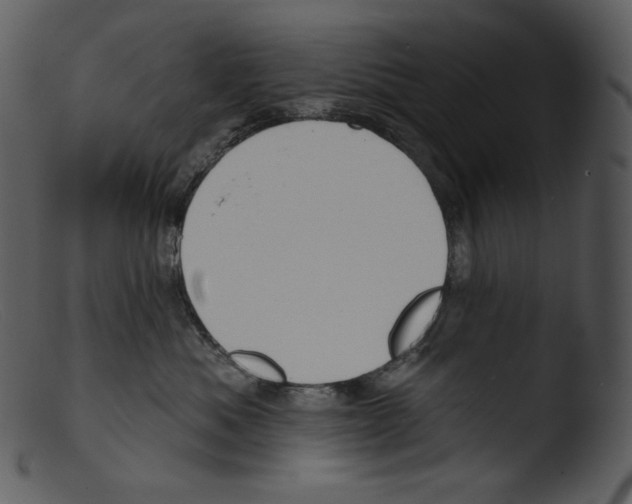 X0000103280525200809261229