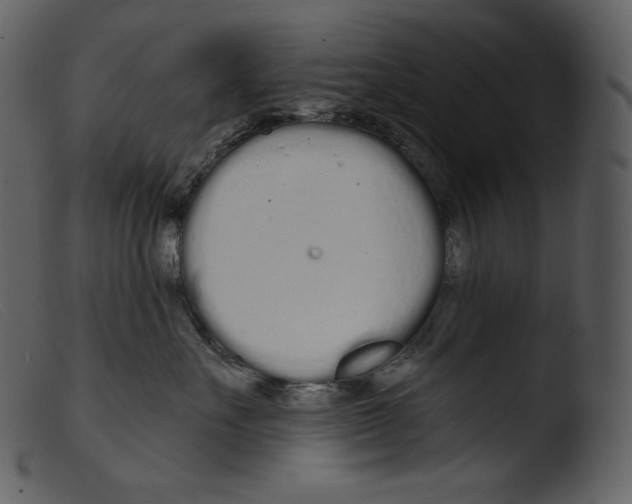 X0000103280527200809261229