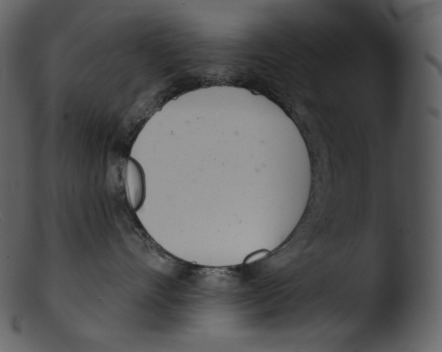 X0000103280528200809261229