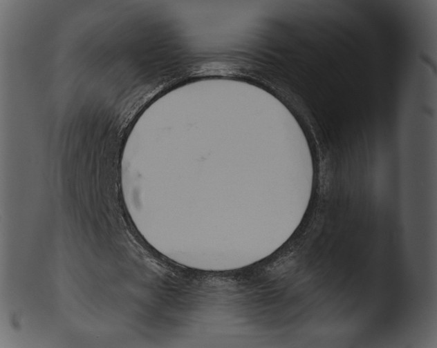 X0000103280529200809261228