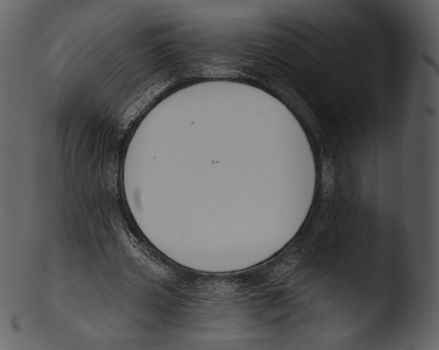 X0000103280533200809261228