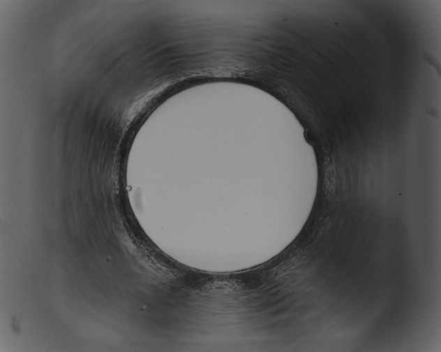 X0000103280536200809261228