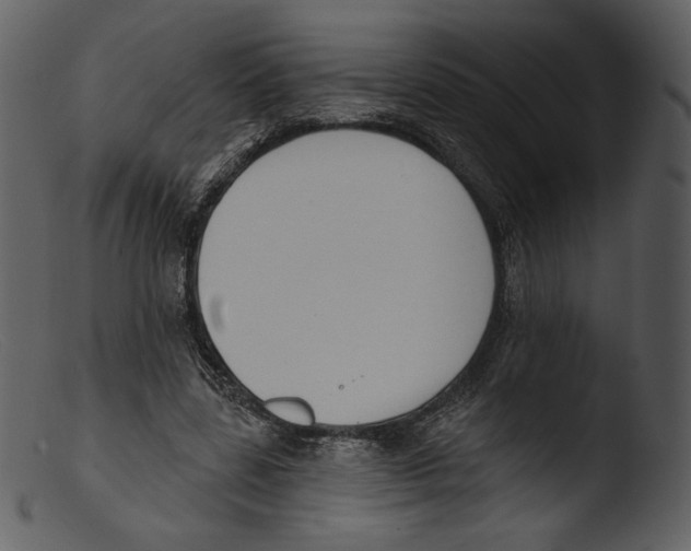 X0000103280539200809261228