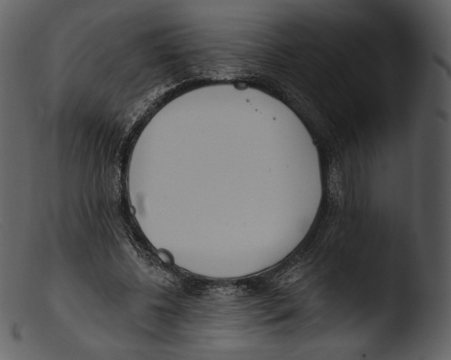 X0000103280540200809261228