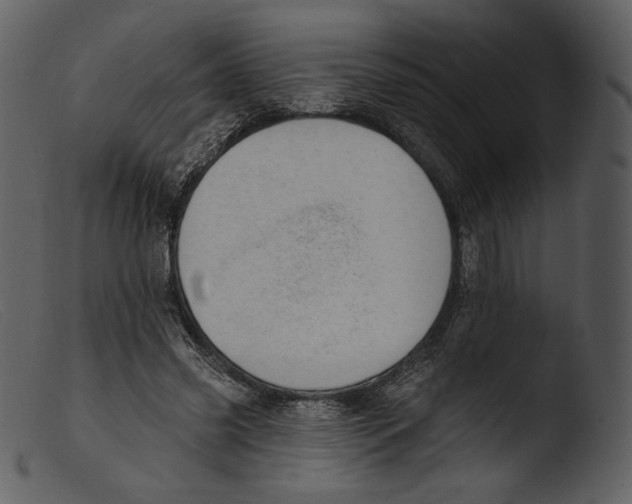 X0000103280541200809261228