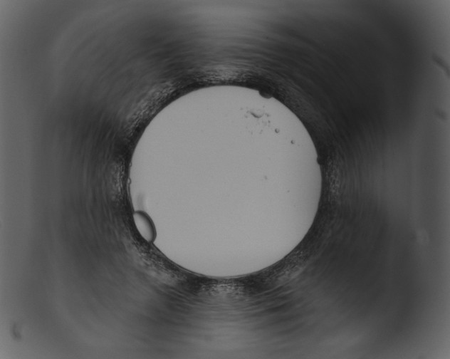 X0000103280546200809261228