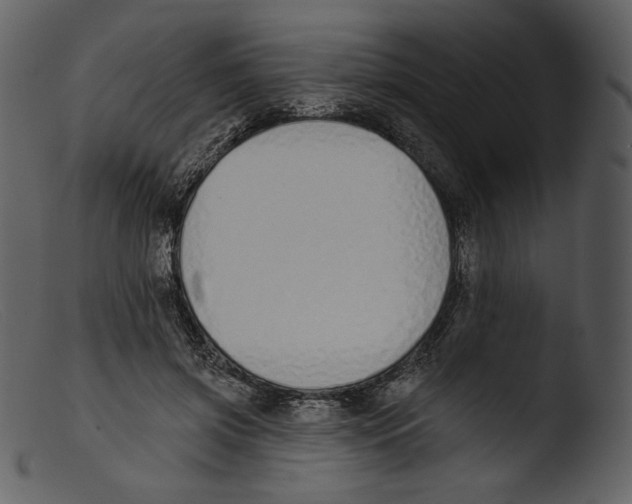 X0000103280549200809261228