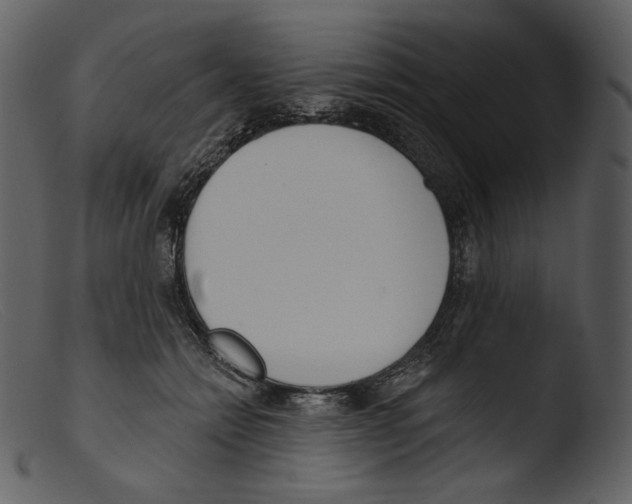 X0000103280558200809261229