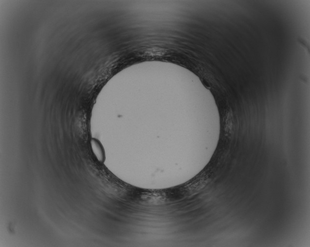 X0000103280559200809261229