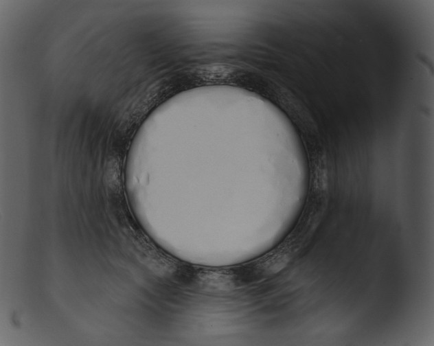 X0000103280561200809261229