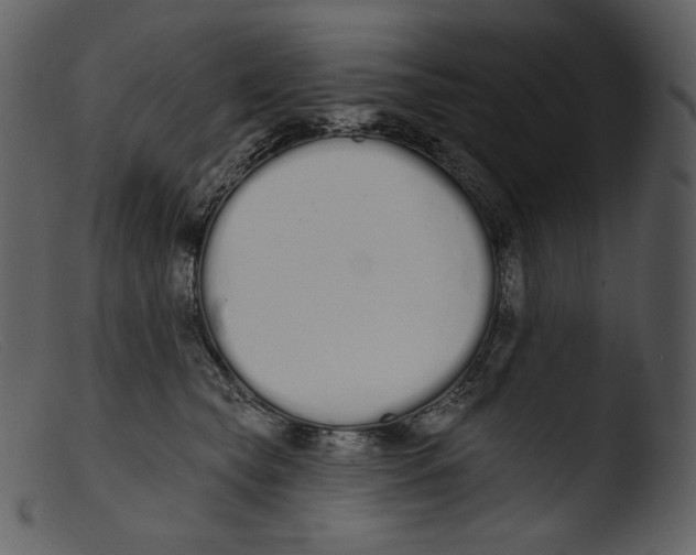 X0000103280565200809261229