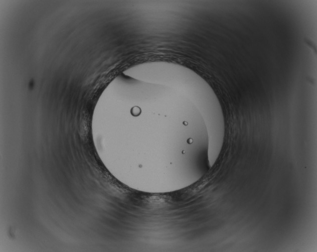 X0000103280566200809261229