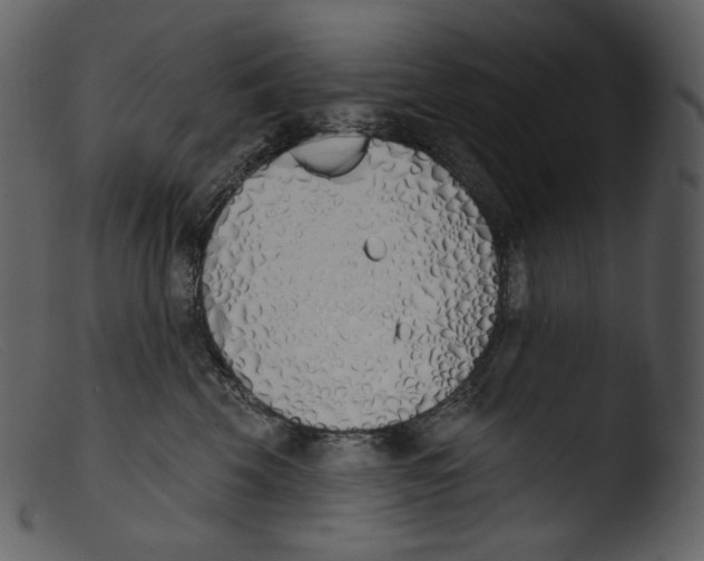 X0000103280569200809261229