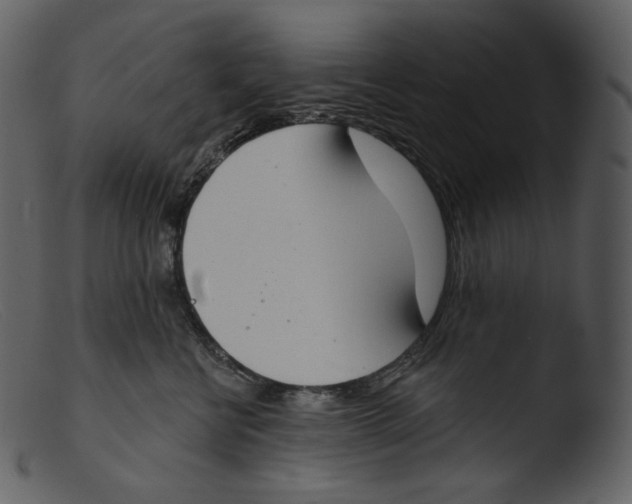 X0000103280570200809261229