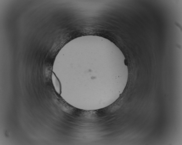 X0000103280576200809261229