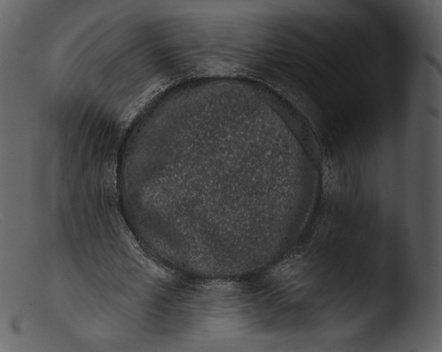 X0000103280581200809261228