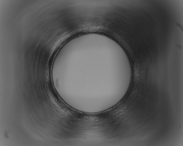 X0000103280582200809261228