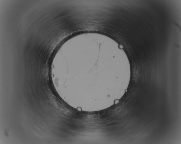 X0000103280584200809261228