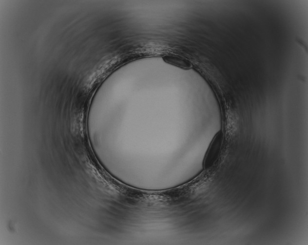 X0000103280585200809261228