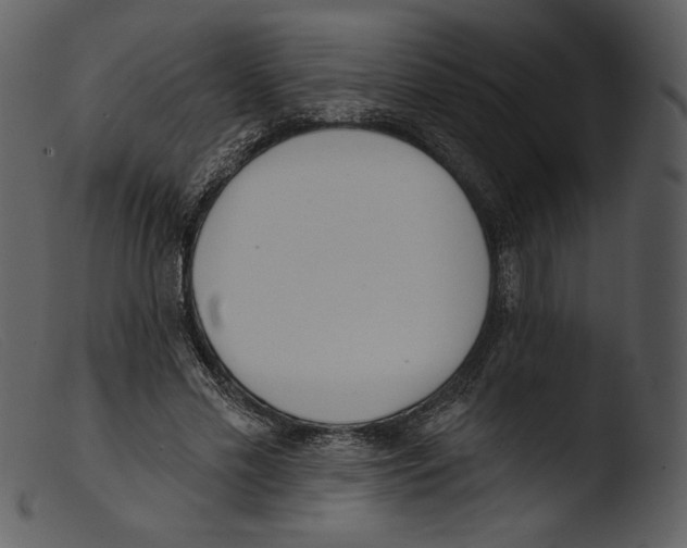 X0000103280589200809261228