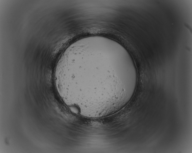 X0000103280592200809261228