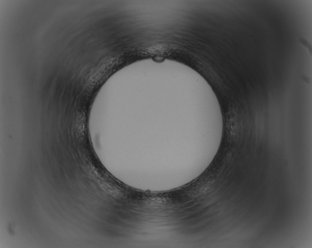 X0000103280593200809261228