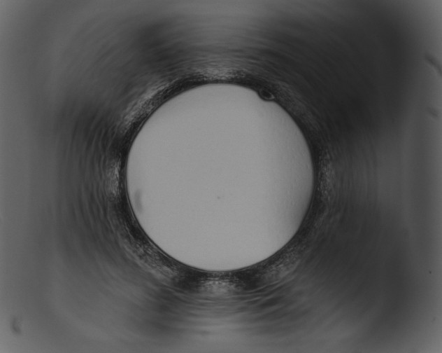 X0000103280596200809261228