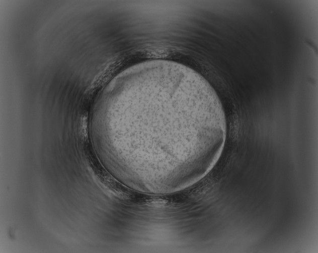 X0000103280598200809261228