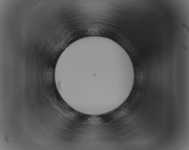 X0000103280603200809261228