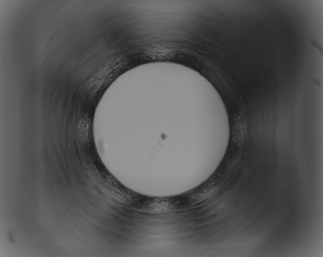 X0000103280604200809261228