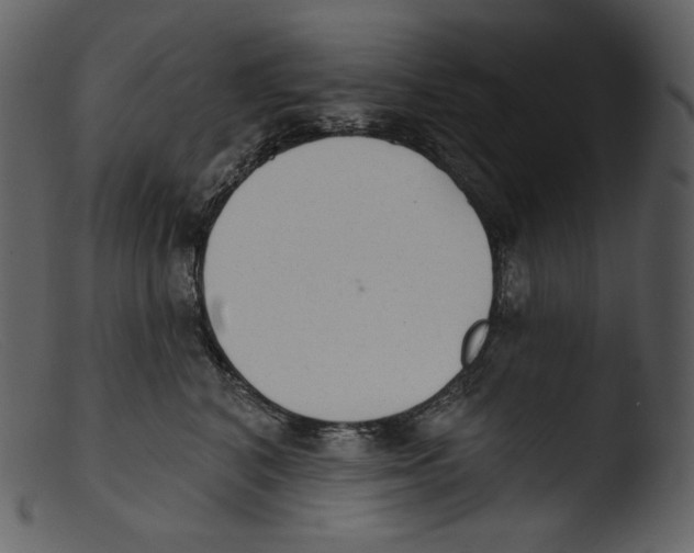 X0000103280616200809261227