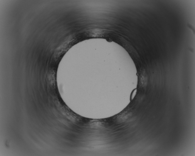 X0000103280620200809261227