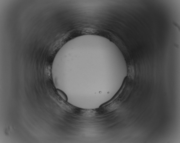 X0000103280621200809261227