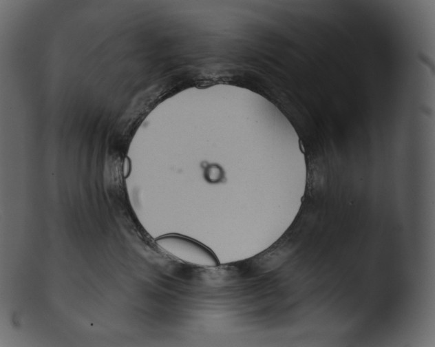 X0000103280623200809261227