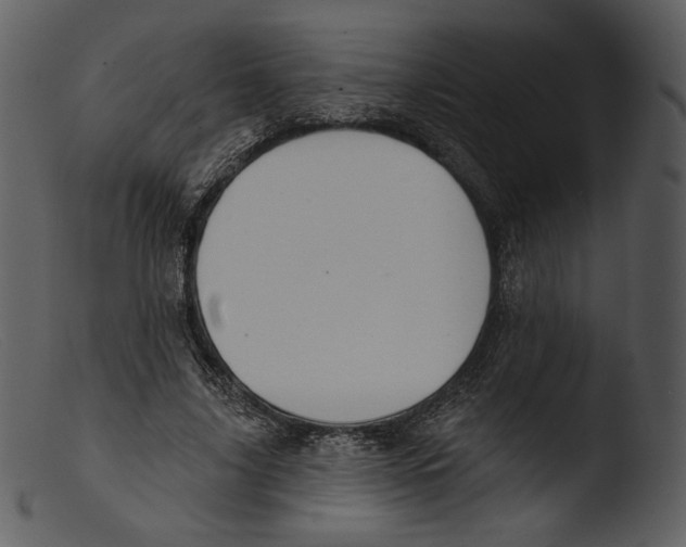 X0000103280635200809261226