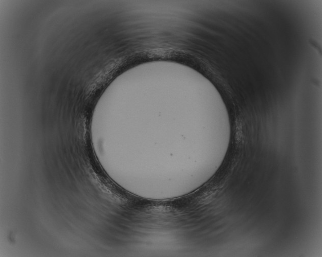 X0000103280637200809261226