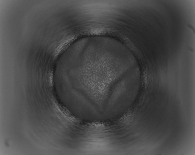 X0000103280640200809261226