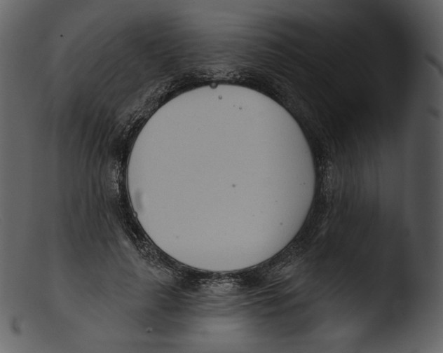 X0000103280643200809261226