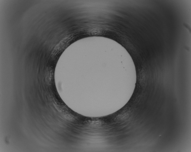 X0000103280645200809261226