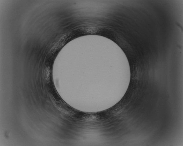 X0000103280646200809261226