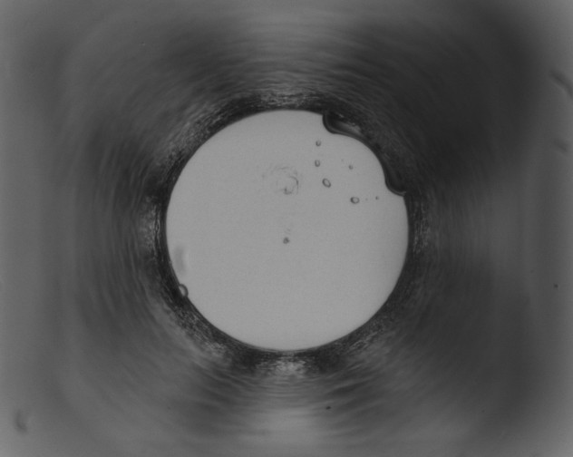 X0000103280647200809261226