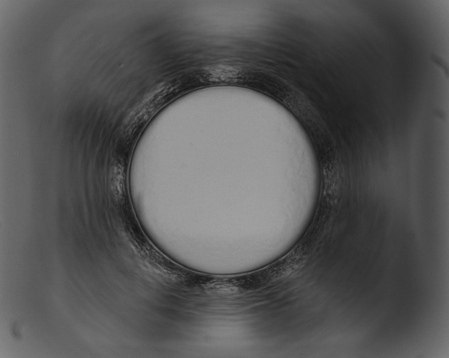 X0000103280648200809261227