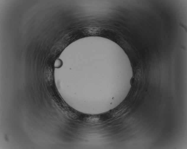 X0000103280651200809261227