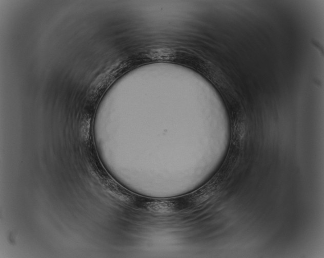 X0000103280652200809261227