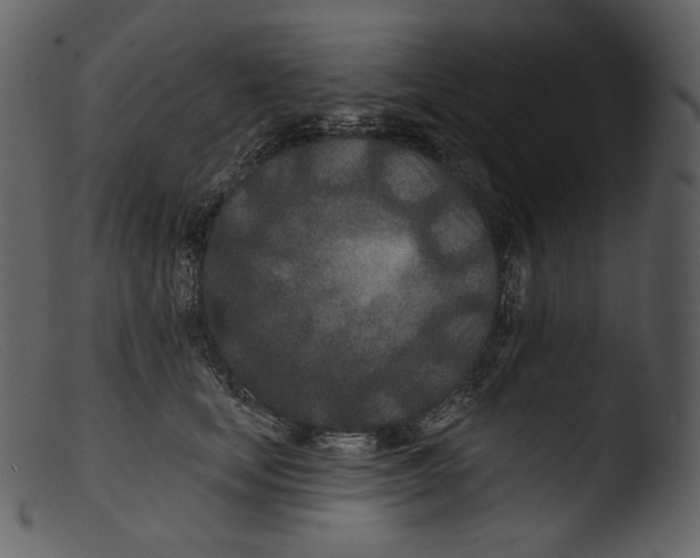 X0000103280659200809261227