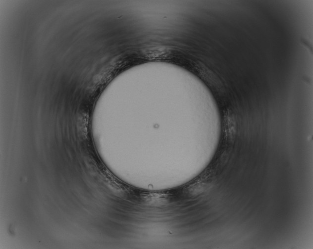 X0000103280664200809261227