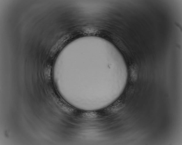 X0000103280668200809261227