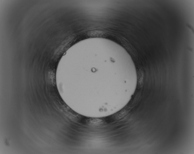 X0000103280669200809261227